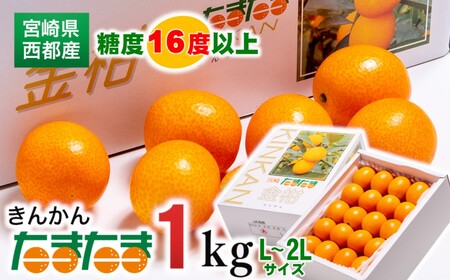 [先行予約]糖度16度以上 きんかんたまたま1kg 宮崎県西都市産[1-136]