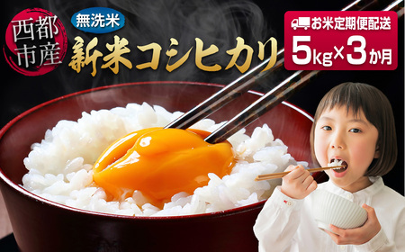 先行予約[3ヶ月定期便]令和7年産 宮崎県産コシヒカリ無洗米 5kg×3回[4.9-3]