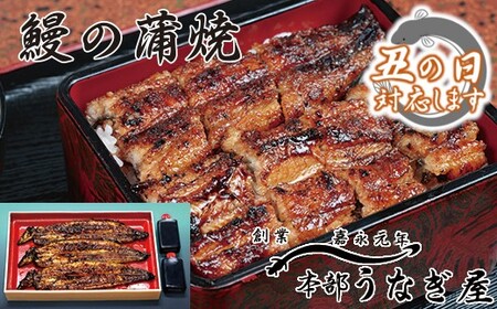 [土用の丑の日]本部うなぎ屋 国産鰻の蒲焼(3尾)[4.6-1]