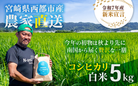 [令和7年産新米・先行予約]こしひかり 5kg ※8月上旬以降順次発送予定[1.3-20]