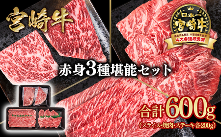 [宮崎牛]赤身堪能セット 計600g 4等級以上 国産牛肉[1.5-27]Y