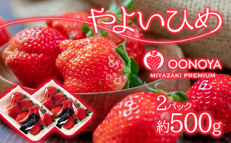 [先行予約]苺大野屋 厳選いちご やよいひめ 500g(250g×2P)[1-294]*
