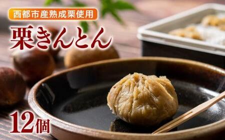 [年末発送]栗きんとん 6個入り×2 合計12個[先行予約][1-286]くり 栗 国産 生栗 果物 フルーツ スイーツ★