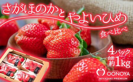 䕑쉮u悢Ђ߁ق̂vI Hה׃Zbg 250g×SpbN Pkg {茧 ssY2-105ʕ  t[c {茧 ss