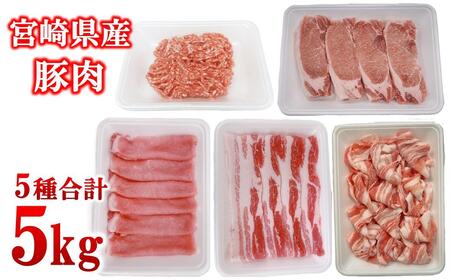 宮崎県産豚肉 5種 合計5kg セット 小分け24パック＜2-109＞
