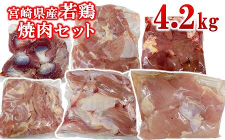 宮崎県産若鶏 6種 合計4.2kg 小分け もも肉 砂肝 手羽中ハーフ等々6種 小分け 15パック[1.8-32]