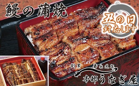 [土用の丑の日]本部うなぎ屋 鰻の蒲焼 カット[3-8]