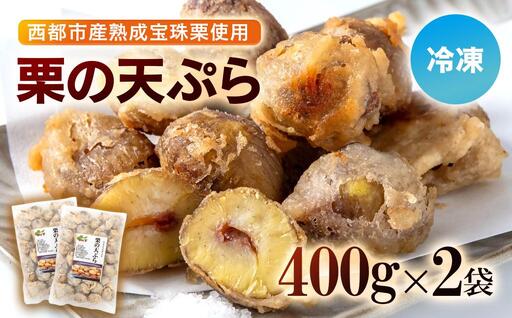 [先行予約]二度揚げ用!熟成栗の天ぷら 2パック 合計800g[49-13a]