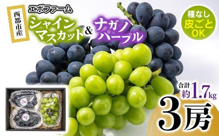 【先行予約】シャインマスカット・ナガノパープル 食べ比べセット 計1.7kg以上 宮崎県西都市産ぶどう 2026年発送＜66-1a＞