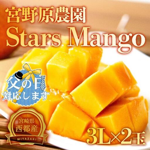 [父の日ギフト]糖度13度以上 宮野原農園 スターズマンゴー3Lサイズ2個 完熟マンゴー 生産者直送[67-2a]2026年発送