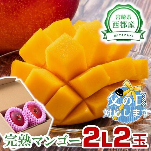 [父の日ギフト]2026年発送 西都市産完熟マンゴー 2L×2玉 糖度12度以上[26-11a]宮崎完熟マンゴー 果物 フルーツ 甘い