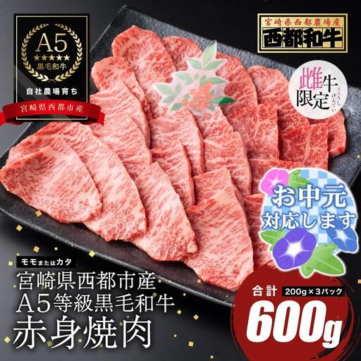 [お中元ギフト]『最高品質のA5等級 西都和牛』黒毛和牛赤身焼肉 600g(200g×3) カミチクファーム[62-4a]