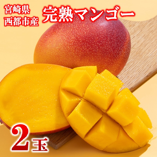 フルーツ専門店『南国フルーツ』厳選宮崎完熟マンゴー2玉(計500g)宮崎県西都市産[73-2a]