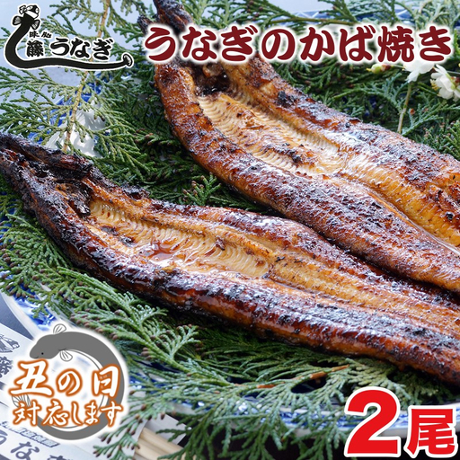 [土用の丑の日]藤うなぎ かば焼き2尾 国産うなぎ 宮崎 蒲焼 鰻[15-1a]