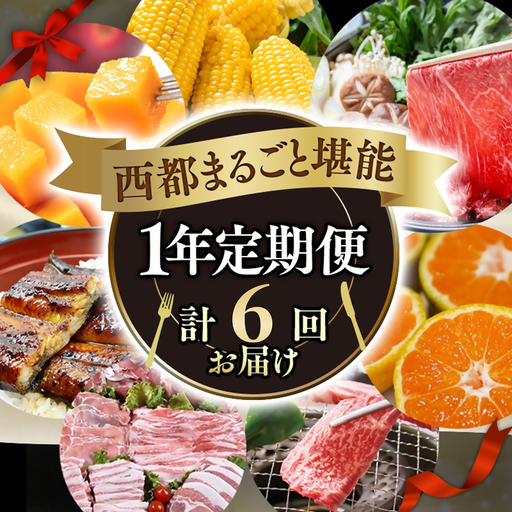 【季節の定期便B】1年間届く 西都まるごと堪能セット6品お届け！【わくわくコース】 宮崎完熟マンゴー 宮崎牛 うなぎ いちご 地鶏 もつ鍋 すき焼き＜1-2a＞