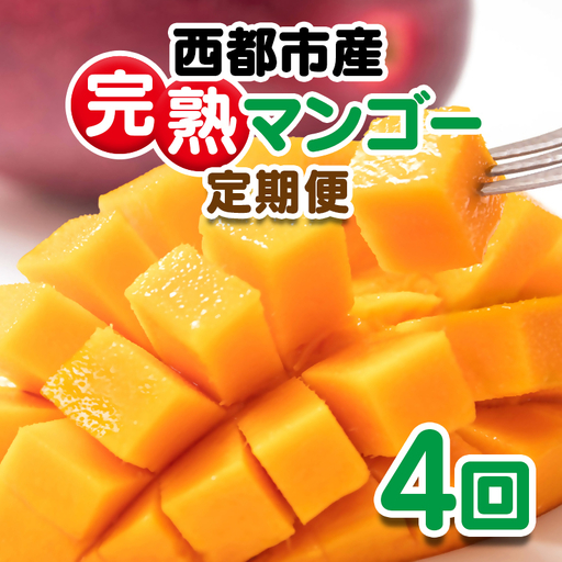 【4回定期便】2027年発送 西都市産完熟マンゴー2玉合計900g～1kg程度×4回【先行予約】宮崎完熟マンゴー＜1-12a＞