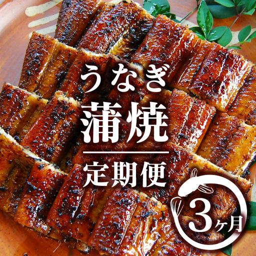 【3ヶ月定期便】（1月～3月お届け）2027年発送 西都市うなぎ名店巡り 入船 本部うなぎ屋 藤うなぎ 国産 蒲焼 かば焼き 鰻 ウナギ＜1-13a＞