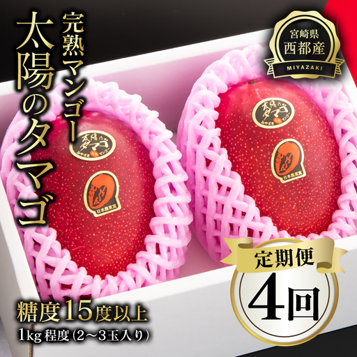 【4回定期便】2027年発送 最高級ブランド「太陽のタマゴ」900g～1kg程度×4回 西都市産完熟マンゴー【先行予約】宮崎完熟マンゴー＜1-11a＞