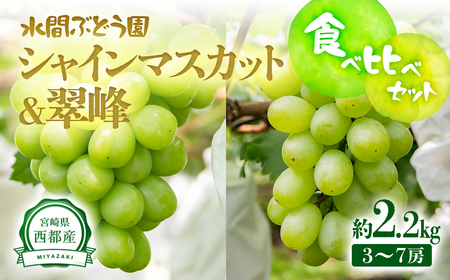 2025年発送[先行予約]シャインマスカット・翠峰 約2.2kg 西都産完熟ぶどう味くらべセット 水間ぶどう園[2-4]