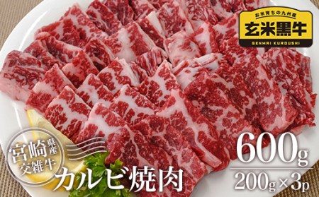 玄米黒牛 牛カルビ焼肉600g 国産牛肉 カミチク[1.4-12]