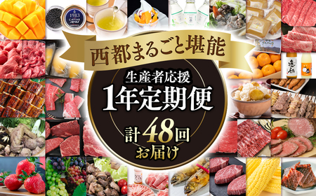 12月31日終了【季節の定期便】西都まるごと堪能セット　プレミアムコース　1年定期便　令和7年1月発送開始＜100-3＞ 