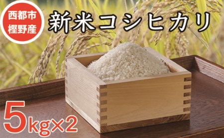 [先行予約]西都市樫野産新米 梅原米(こしひかり)5kg×2パック[1.5-162]