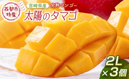 宮崎県産 完熟マンゴー 1.5kg - フルーツ