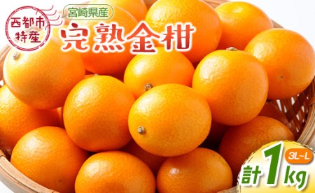 [先行予約]宮崎県西都市産完熟きんかん 1kg(3L〜L)[1-233]