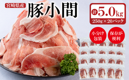 宮崎県産豚肉 小間切れ 5kg(250g×20)[1.7-22]