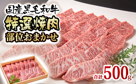 黒毛和牛 希少部位を含むおまかせ特選焼肉 500g 国産牛肉[1.5-223]