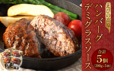 えびの高原 ハンバーグ デミグラスソース 5パック 合計1kg 200g×5パック お肉 肉 惣菜 温めるだけ パック 成長ホルモン不使用 レンジ対応 送料無料