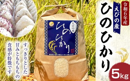 [令和6年度]新米 えびの産 ヒノヒカリ 5kg お米 米 白米 ごはん 精米 おこめ おにぎりお弁当 お取り寄せ 宮崎県 えびの市 送料無料 コメ こめ[11月上旬より順次発送]