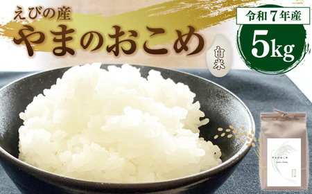 [令和7年産]≪先行予約 2025年11月発送開始≫えびの産 ヒノヒカリ やまのおこめ 5kg 白米 お米 米 国産 宮崎県 送料無料