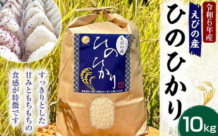 [令和6年度]新米 えびの産 ヒノヒカリ 10kg お米 米 白米 ごはん 精米 おこめ おにぎり お弁当 お取り寄せ 宮崎県 えびの市 送料無料 コメ こめ ひのひかり