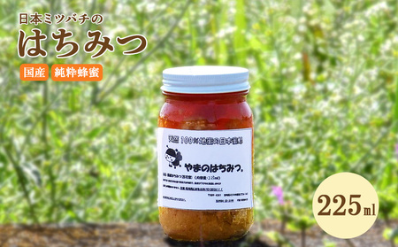 日本蜜蜂の蜂蜜 225ml 蜂蜜 百花蜜 はちみつ 調味料 天然100% 蜂蜜 ハニー 国産 送料無料