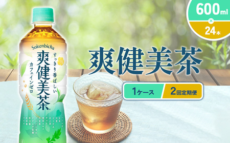 (2回定期便)爽健美茶 600ml PET[コカ・コーラ]ペットボトル 1ケース(24本) 定期便 2回(48本) セット お茶 カフェインゼロ ノンカフェイン ハトムギ ブレンド茶 宮崎県 えびの市 送料無料