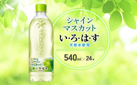 水 いろはす シャインマスカット 天然水 540ml(500ml + 40ml)PET[コカ・コーラ]ペットボトル 1箱(24本)ブドウ ナチュラルミネラルウォーター フレーバードリンク カロリー控えめ 飲料水 飲料 常温 備蓄 ストック ローリングストック アウトドア キャンプ 人気 おすすめ ギフト 国産 九州 宮崎県 えびの市 送料無料