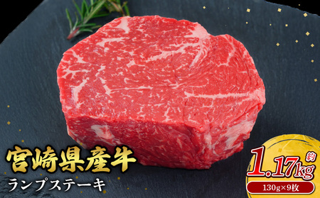 {茧Y  Xe[L Ԑg  Xe[Lp 130g × 9 v 130g 1170g   Y  ^pbN Ⓚ  MtglC Y т̎s 