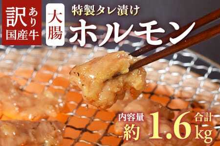 [訳あり]国産牛ホルモン大腸(特製タレ漬け)計1.6kg(400g×4袋)大腸を秘伝の特製タレに漬け込みました!