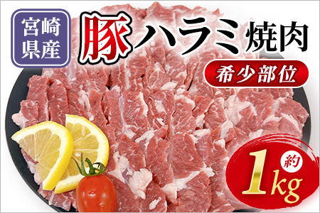 宮崎県産希少部位 豚ハラミ焼肉 約1kg 国産 豚肉 ぶたにく お肉 はらみ 焼き肉 ブタ ステーキ BBQ 1キロ 使いやすい 小分け パック 真空冷凍 お弁当 ジューシー 肉質 柔らかい 上品 豊かな味わい 味彩豚 ブランド 数量限定