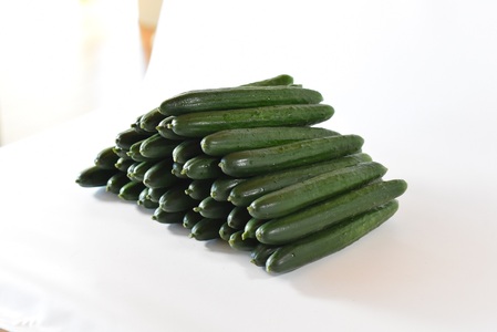 [[3ヵ月定期便][期間限定]宮崎県産きゅうり(約2kg)×3回](3本入り×5袋)×3回)パリッと甘い魔法のキュウリ「マジキュー」漬物や天ぷらに![MI201-yt][ゆたか農園]