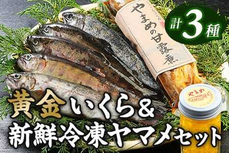 黄金イクラと新鮮冷凍ヤマメセット(3種)黄金イクラやヤマメを詰め合わせ!