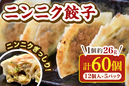 [数量限定!]ニンニク餃子(12ヶ入×5パック)