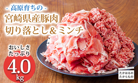 高原育ちの宮崎県産豚肉切り落とし&ミンチ4kg おいしさたっぷり アレンジ色々 [夕食 お弁当 一人暮らし 万能食材 生姜焼き しゃぶしゃぶ ハンバーグ 餃子 肉巻き ミートソース 麻婆豆腐] 特番767