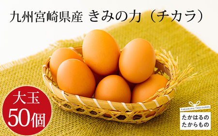 宮崎県産たまご『きみの力(チカラ)』Lサイズ大玉の卵50個