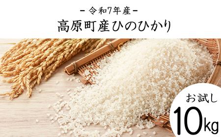 yߘa7NY Vāz{茧Y Ђ̂Ђ蔒 10kg TF00856-P00079