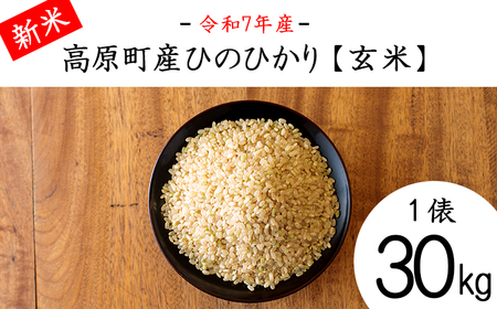 yߘa7NY Vāz{茧Y Ђ̂Ђ茺 30kg TF00851-P00079
