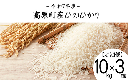 yߘa7NY Vāz{茧Y Ђ̂Ђ蔒 10kg×3iv30kgj TF00857-P00079