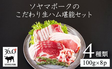 ソヤマポークの生ハム堪能セットTF864-P00078