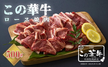 宮崎県産 産地直送「この華牛 ロース焼肉」500g 高原有田牧場直送